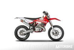 Gas Gas EC 250 2018