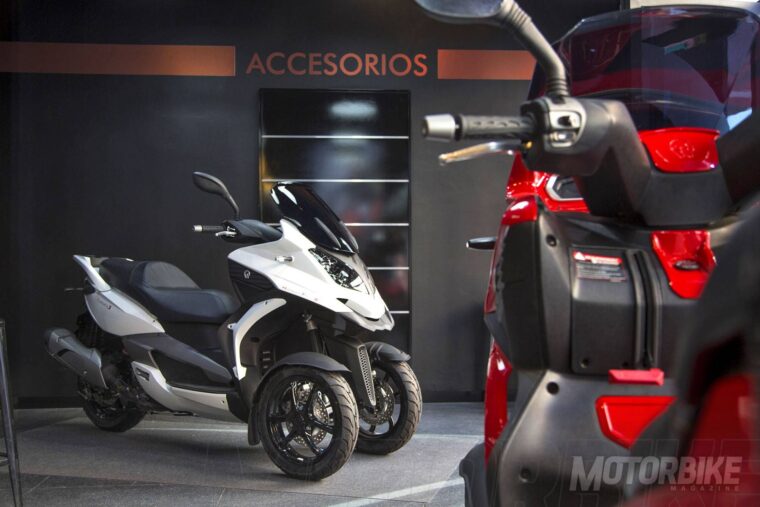 Quadro-concesionarios-15