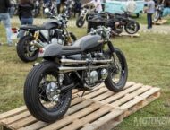 Honda at Wheels and Waves