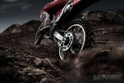 17YM CRF450R