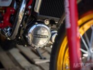 Honda at Wheels and Waves