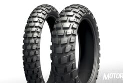 Michelin Anakee Wild