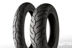 Michelin Scorcher 31