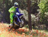 Sherco SE R 250 2018 3