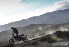 Ducati Scrambler Desert Sled 25