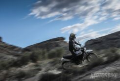 Ducati Scrambler Desert Sled 26