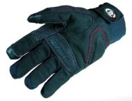 GARIBALDI Indar Capacitive (1)