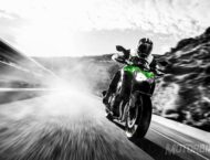 Kawasaki Z900 A2 2018 7 Kawasaki Z900 2018 A2 03