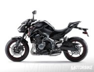 Kawasaki Z900 A2 2018 23 Kawasaki Z900 2018 A2 10