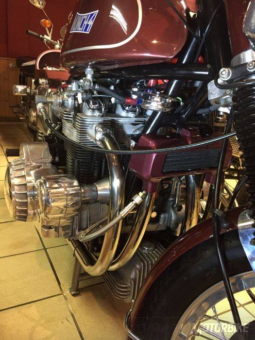 Munch-Mammut-nr-234-003