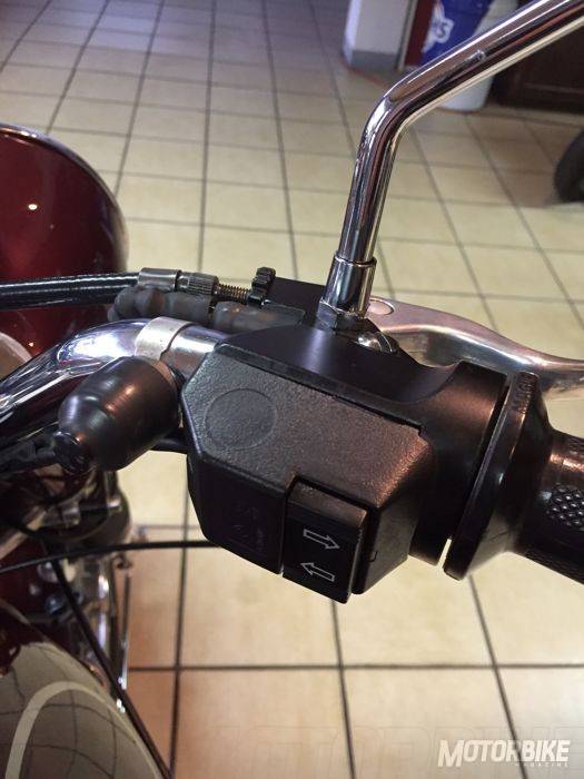 Munch-Mammut-nr-234-004