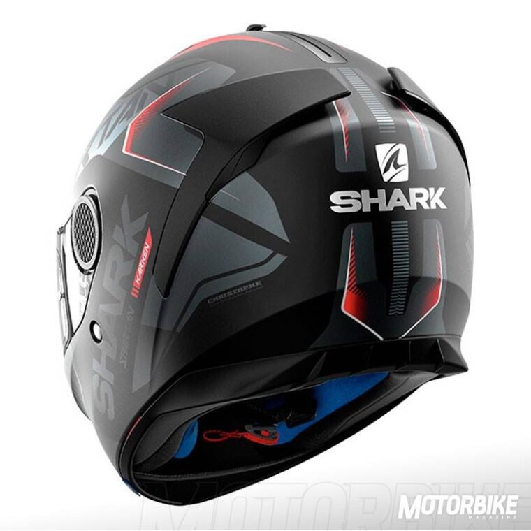 SHARK-SPARTAN-(37)