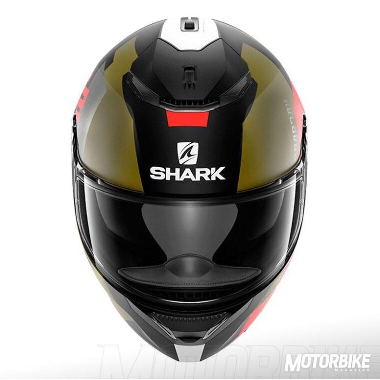 SHARK-SPARTAN-(42)