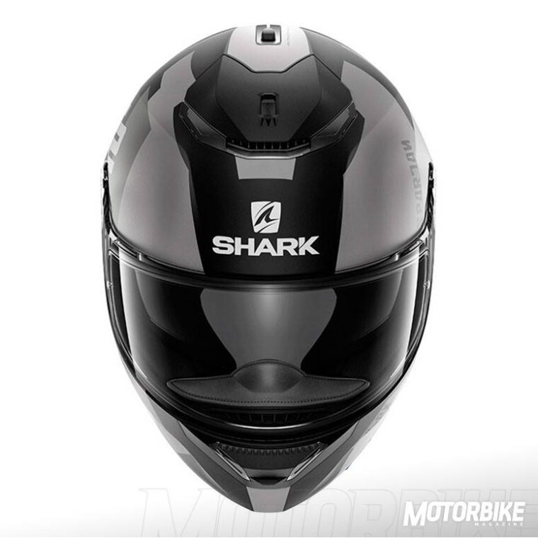 SHARK-SPARTAN-(43)