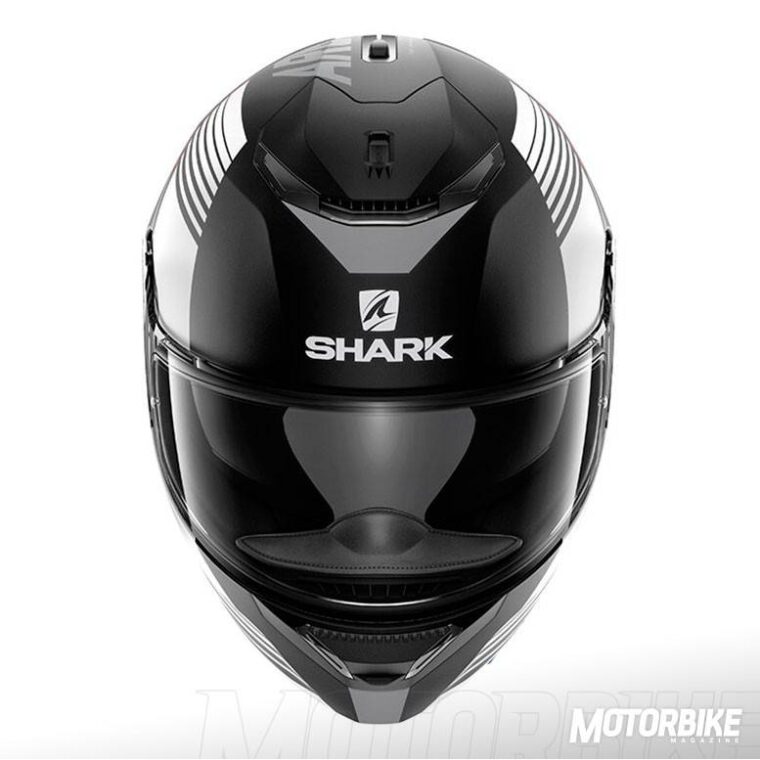 SHARK-SPARTAN-(47)