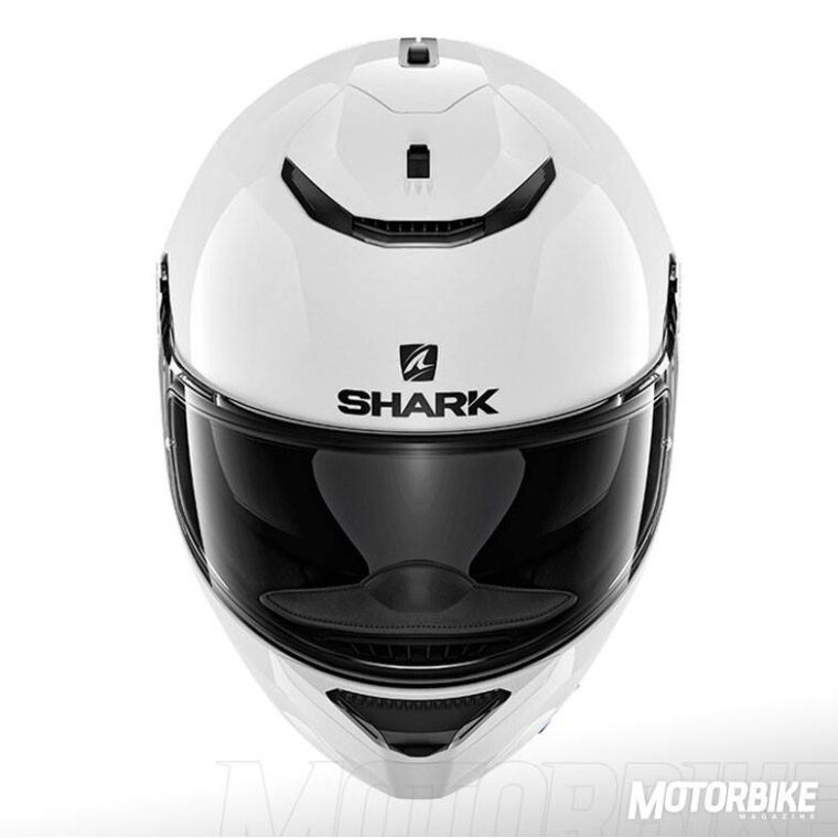 SHARK-SPARTAN-(50)