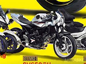 Novedades 2018. Algunas motos muy interesantes que podrían llegar… 12 Suzuki SV650 2018