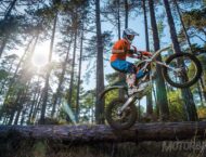 KTM Freeride E XC 2018 24