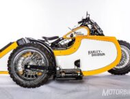 Harley Davidson Softail Fat Boy Special sidecar Hardcore Customs 01