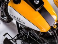 Harley Davidson Softail Fat Boy Special sidecar Hardcore Customs 06