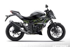 Kawasaki Z125 2018