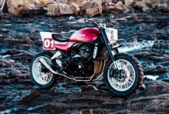 Kawasaki Z900RS Deus 03