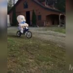 [Vídeo] ¡Tronchante!: Bebé gigante en moto de cross