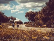 BMW G 310 GS BMW G 310 R comparativaMBK003