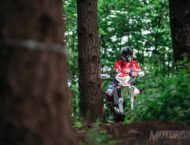 Beta presenta sus RR de enduro 2019 15 Beta RR 2019 2T 37