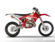 GasGas EC 300 2019