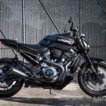 BikeLeaks. Harley-Davidson 2020: Desvelados esquemas de las Pan America 1250, Custom 1250 y Streetfighter 975
