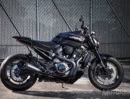 Harley Davidson Streetfighter 975 concept