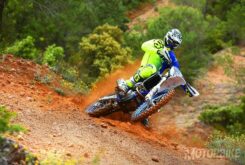 Sherco 250 SEF Factory 2019 35