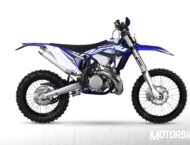 Sherco 300 SE-R 2019