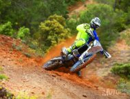 Sherco 300 SEF Factory 2019 24