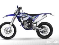 Sherco 300 SEF R 2019 03