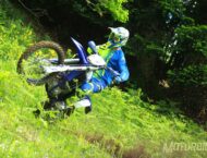 Sherco 300 SEF R 2019 07