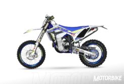 Sherco 450 SEF Factory 2019