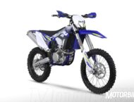 Sherco 450 SEF R 2019 02
