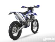 Sherco 450 SEF R 2019 04