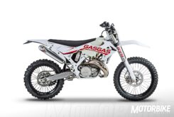GasGas ECRanger 200 2019