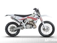 GasGas ECRanger 300 2019