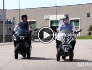 Torrot Velocipedo 2019 08