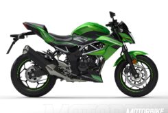 Kawasaki Z125 2019