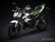 Top 10. Las motos 2019 más destacadas de INTERMOT 2018 28 Kawasaki Z125 2019 55