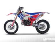 GasGas EC 250 Six Days  17