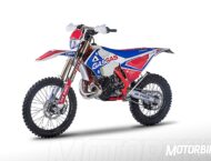 GasGas EC 250 Six Days  18