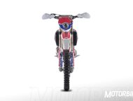 GasGas EC 250 Six Days  19