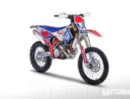 GasGas EC 250 Six Days  20