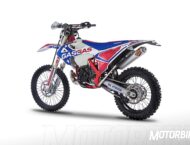 GasGas EC 250 Six Days  22